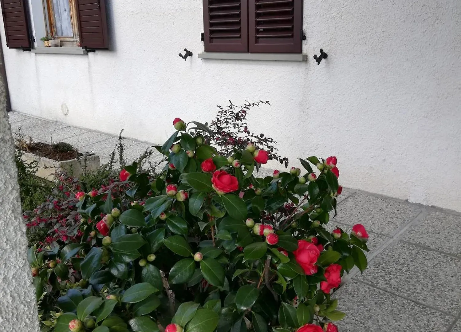 Bed & Breakfast B&B Ripalta Sogliano al Rubicone