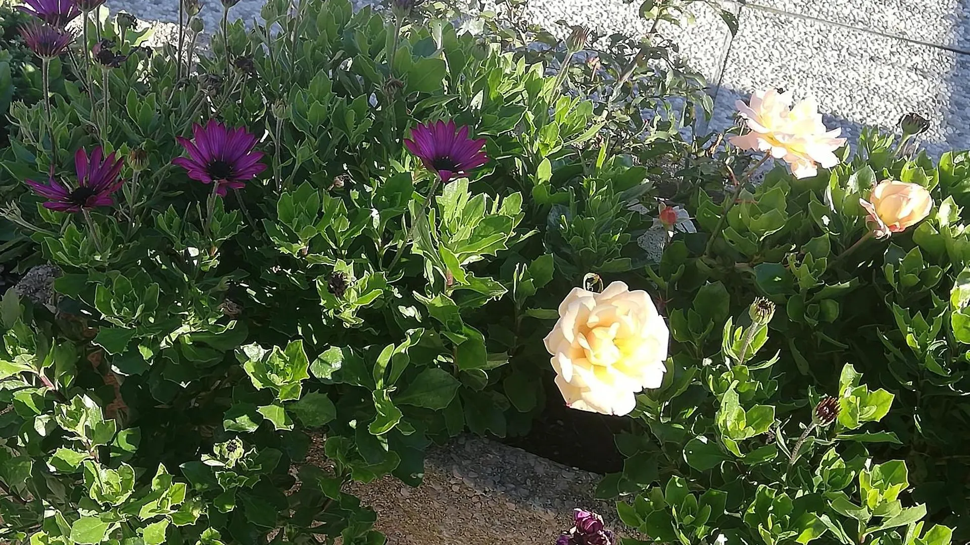 B&B Ripalta Sogliano al Rubicone Bed & Breakfast