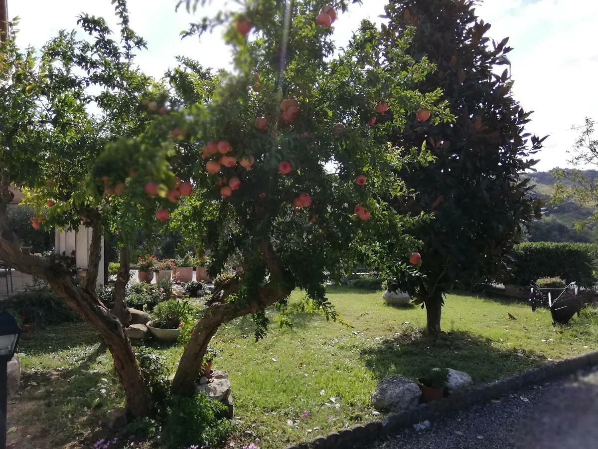 B&B Ripalta Sogliano al Rubicone Bed & Breakfast